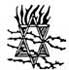 Jan-29   Sydney:   67th Anniversary of Auschwitz Liberation