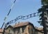 PM sends a message on the International Holocaust Remembrance Day