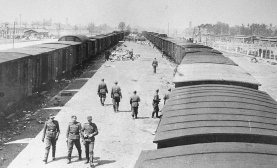 Auschwitz-Birkenau Museum finds new names, stories from Nazi death camp ...