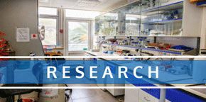 Rebuilding the mind after cancer: a new remote program offers hope