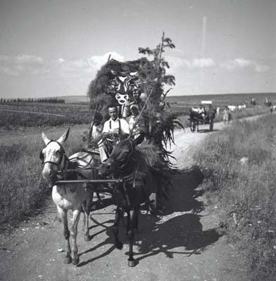 1951 procession of Shavuot in horse-drawn carts Kibutz Even Yitzhak