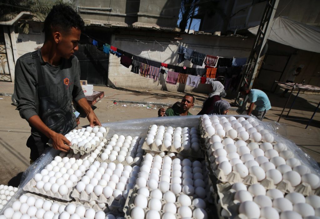 WhatsApp Image 2024-06-21 at 21.42.50 (1)