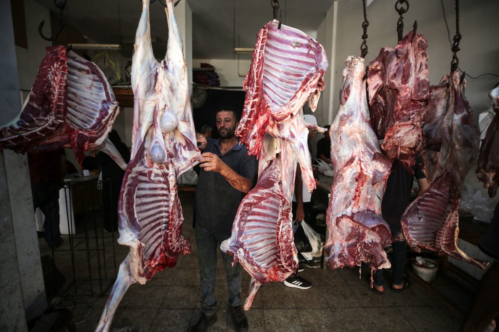 WhatsApp Image 2024-06-21 at 21.42.50