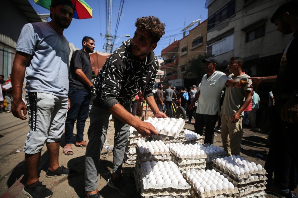 WhatsApp Image 2024-06-21 at 21.42.51 (1)