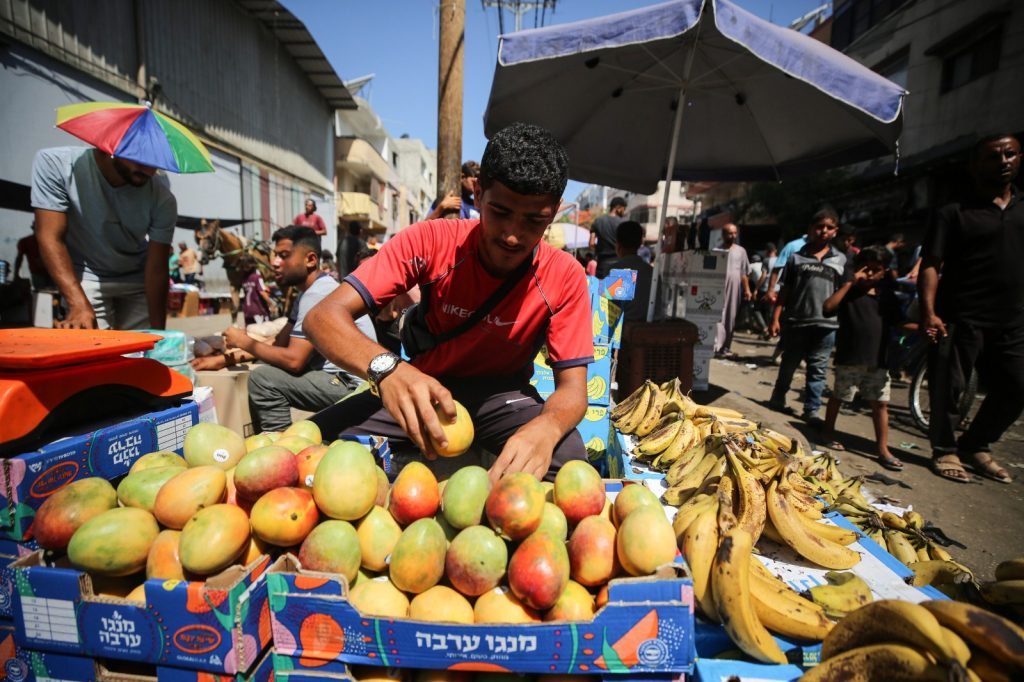 WhatsApp Image 2024-06-21 at 21.42.52