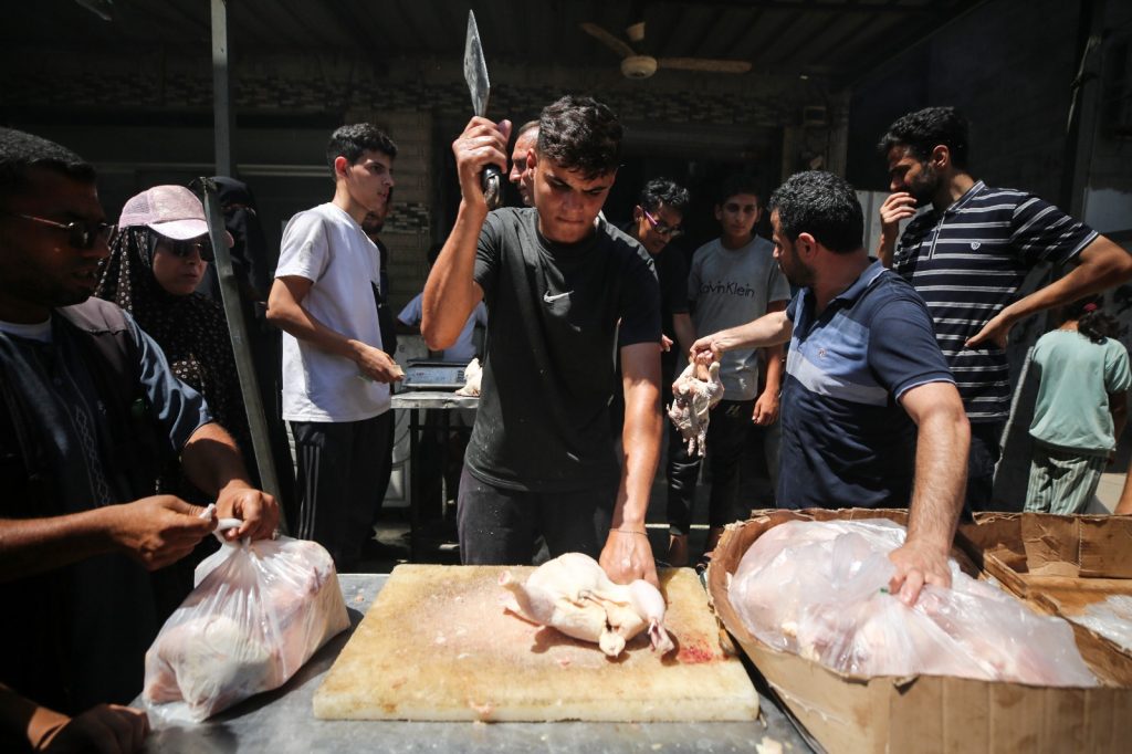 WhatsApp Image 2024-06-21 at 21.42.55