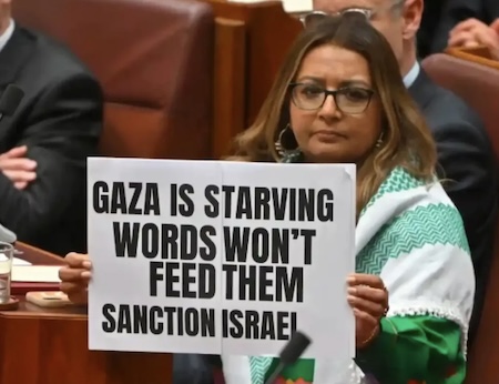 Faruqi protesting during parliament opening