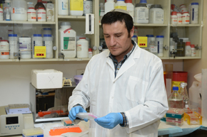 Protecting the body from age-related decline and disease