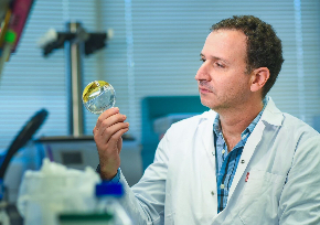 Scientists engineer bacteria to manufacture drugs inside human body