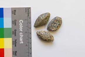 First material evidence of Judah Maccabee’s battlefield discovered near Jerusalem