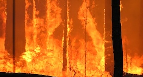 Bushfires force evacuation of Habonim leaders, camp delayed