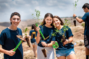 KKL-JNF distributes over 550K saplings to mark Tu B’Shevat