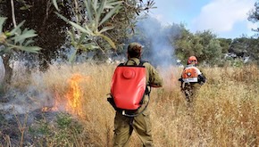 JNF Australia launches emergency response campaign