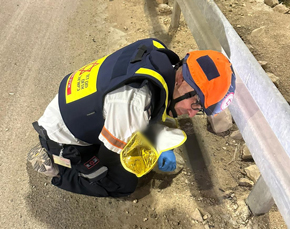 Minutes old, seeking refuge in human shelter