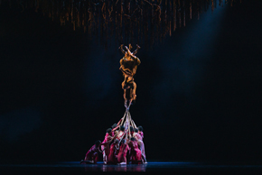 FLORA  (The Australian Ballet x Bangarra Dance Theatre)