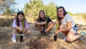 JNF Blue Box continues to strengthen Israel