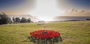 Bondi cliffs bloom with memory for Yom HaZikaron