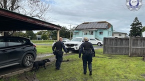 Neo-Nazi linked man charged over alleged threats to royal commission witness
