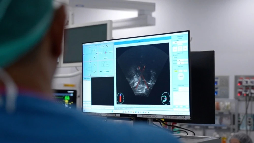 Doctors examine an ultrasound image