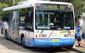 Typical Sydney school bus...not the one involved