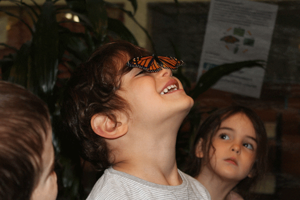 Arkie Rettig and Danielle Brod