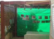 The Kuttner Sukkah