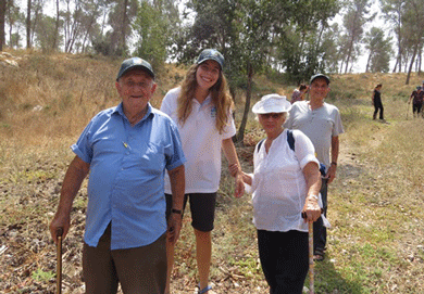 In the Hamalachim Forest