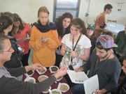 Learning herb medicine