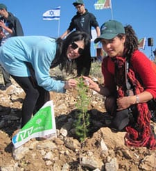 Planting at Ramot Forest. Yoav Devir