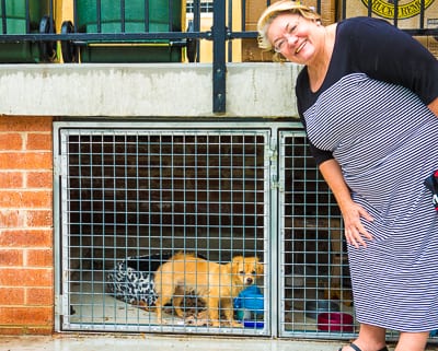 Waverley Mayor Sally Betts visits Lulu currently residing at the Jewish House Dog House